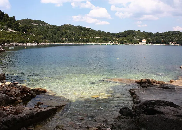 Appartamento With Parking Space Sobra, Mljet - 24530 Babino Polje